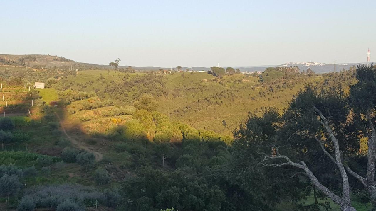 Quinta Do Caneiro - Casa Turismo Rural Constância Exteriér fotografie